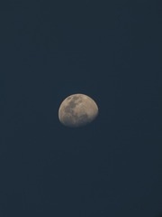 1D07D518-6492-408B-9E42-298F16173710/L0/001
