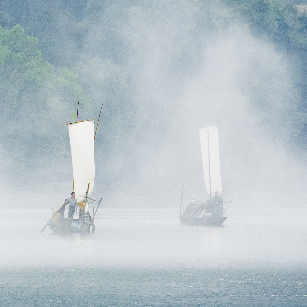 一片孤帆破雾来