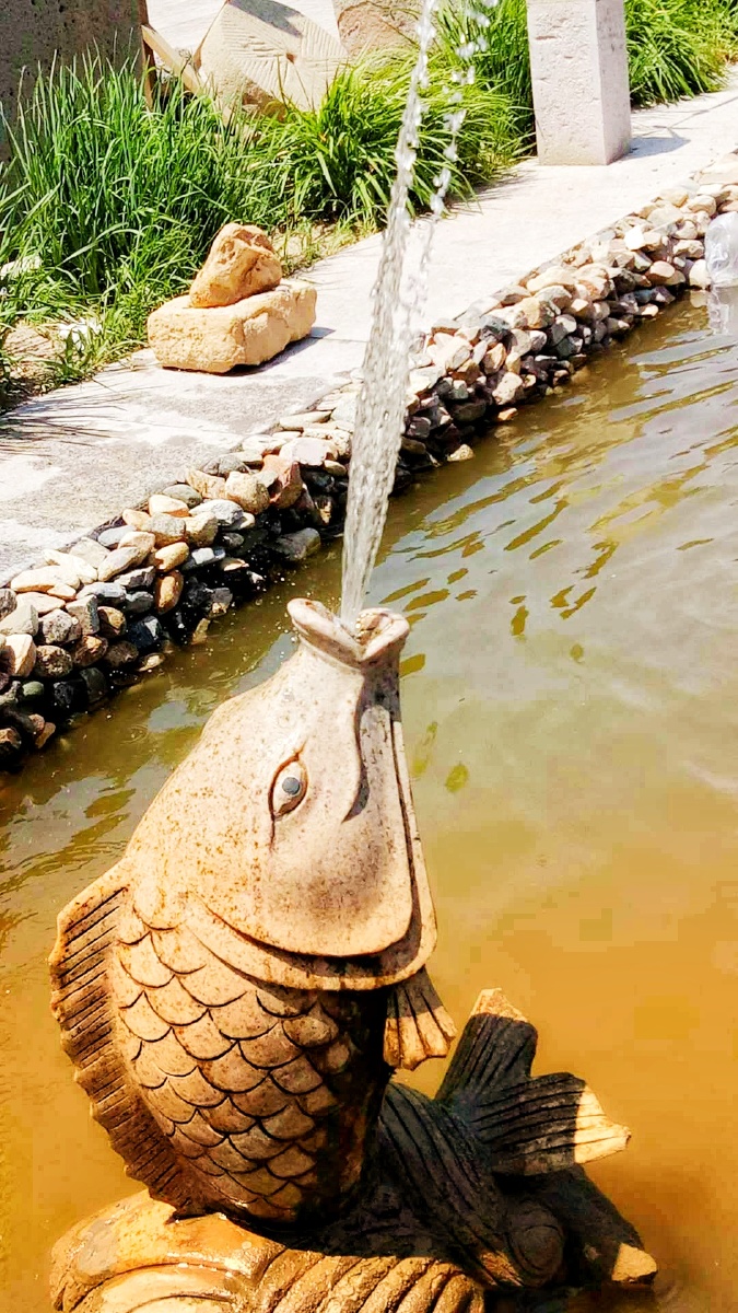 鱼在喷水太美了