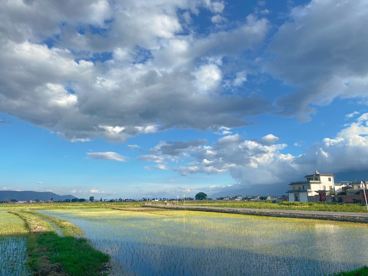 苹果原相机拍摄大理喜洲古镇田园风光