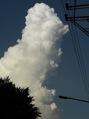 F6B93752-7D84-462B-B528-FE502344ED61/L0/001