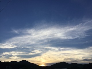 11DBD5B5-E927-4143-B740-8011A2609F22/L0/001