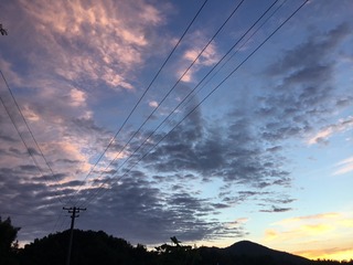 A752B21B-2193-4D3D-ABA0-D647639667A7/L0/001