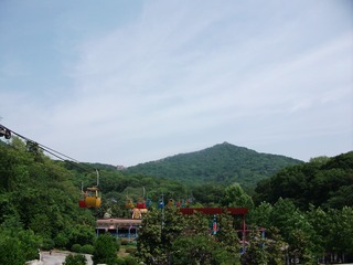 191007