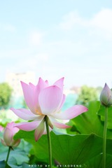 E698D550-824C-4FAD-8600-C49E95807654/L0/001