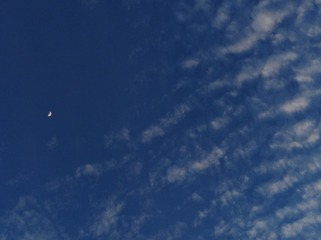 809336