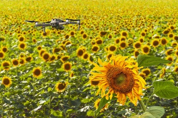 2493