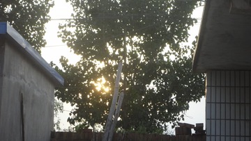 1000013023