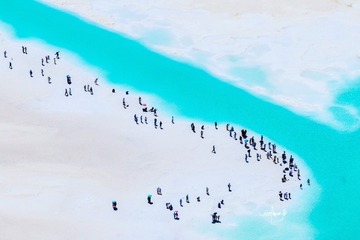 1000020115