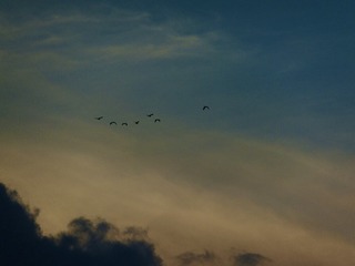 7DC8BF4C-4FBD-46E0-9E9D-9E348E99D1C1/L0/001