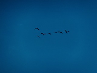 A2B8ACA5-3759-462A-8AF9-3FF462B657D5/L0/001