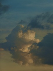 A8E64C9B-A701-46FA-AC4B-33E94AA3B129/L0/001