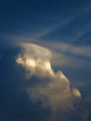 D77B9AA5-3BD5-483B-BE1A-94C96B12D6CD/L0/001