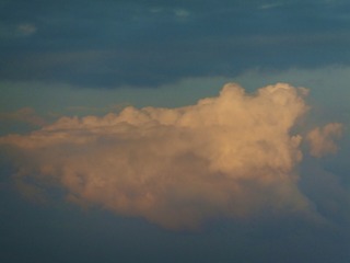 DF8410CF-2DA7-4B6B-BCCB-9A25D4A1F5CE/L0/001
