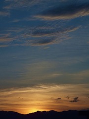 BD166945-F76E-464C-B6B4-B172D206FC0C/L0/001