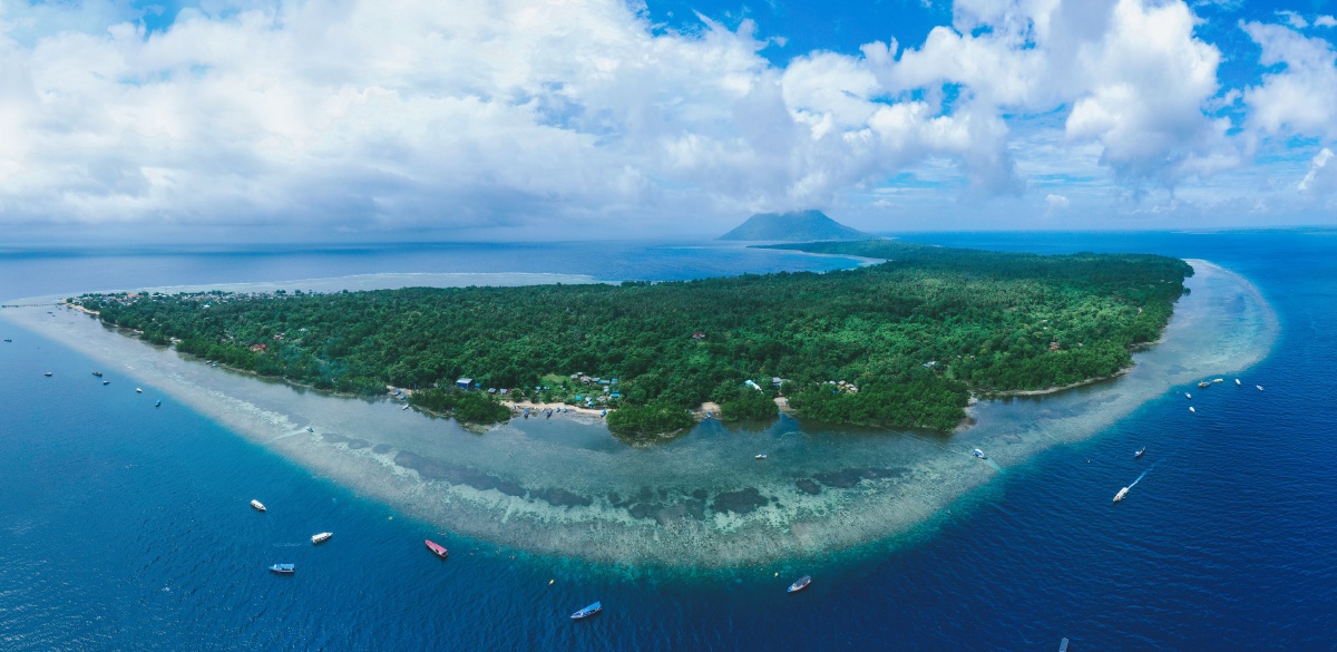 翼动长空啸九天