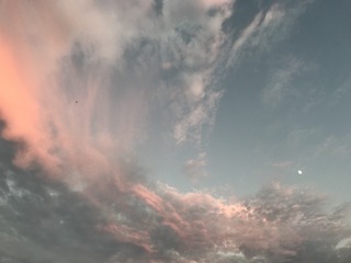4F0DF80B-B2DE-46E0-80C5-26E5717A4EAD/L0/001