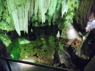 DSCN0778.JPG