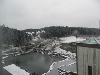 DSCN0779.JPG
