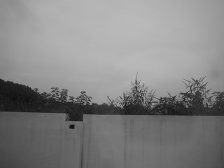 2D933961-CC1C-4785-958E-A0AB6D5E8BBC/L0/001