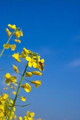 IMG00235.jpg