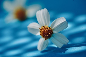FB7432D1-F2C6-4BDC-B2B9-CBCB3D4A5D78/L0/001