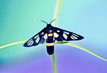 83AD8849-9B1A-4E99-B8D6-3520CE56EB70/L0/001