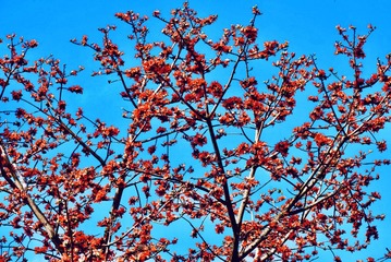 066D8DD4-C19E-4D3C-A190-9B9979344D03/L0/001
