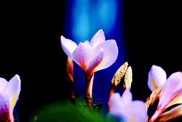 A51695DC-05CF-4243-861A-25F1B01162E1/L0/001
