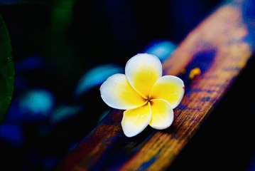 22776572-D374-4E73-8521-76D2B334B32F/L0/001