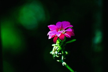 11DF7AE6-9455-43B1-98CE-259826EB7E8E/L0/001