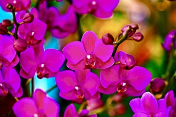 F566619E-D7A7-4331-8363-5B3A934C1A74/L0/001