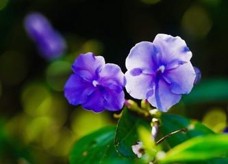 7A01677A-355B-4F24-AC84-B1AA5CB51624/L0/001