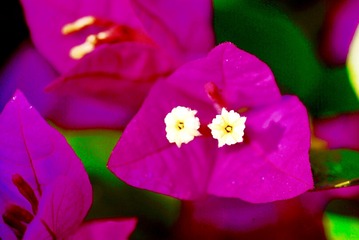 68624618-F10E-4B8A-B085-F6BCB1F794F7/L0/001
