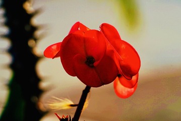 90C06145-00E7-4EB8-A85C-B157F8A93469/L0/001