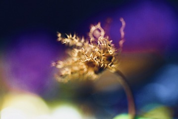 30B66AFF-1579-41D8-B68D-CEB0DE5B940B/L0/001