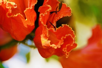 FD76A6FD-5EF5-4CC9-AFB8-3841E7F00FFF/L0/001