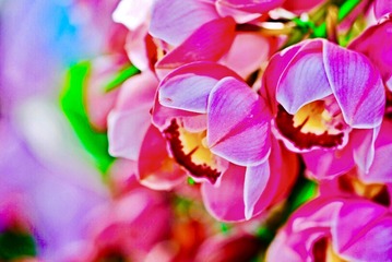 5655AF99-2EC6-4F94-8DB1-83C0CE3740A6/L0/001