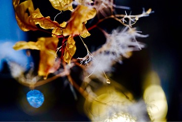 327B1AB5-ED19-4706-A3D8-7A87B61CB849/L0/001