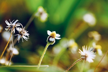 DCE869D0-1330-47AB-B3EF-3873209E0ED7/L0/001