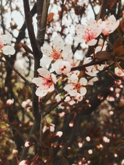 C8418B61-C64F-4B41-A79D-C4CB19C0B6CB/L0/001
