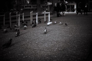 [New year in downtown].jpg