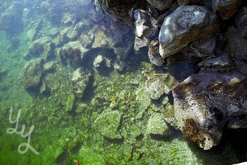 [Bowen Island] 1.jpg