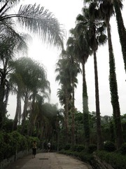 nEO_IMG_IMG_0675a.jpg