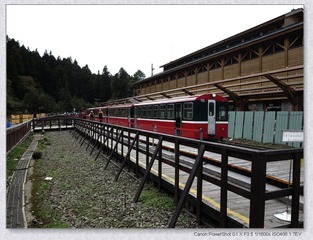 阿里山.JPG