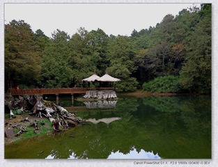 阿里山03.JPG