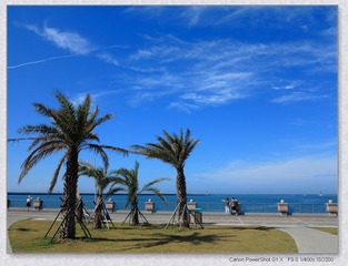 西子湾05.JPG