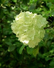 IMG_0089.JPG
