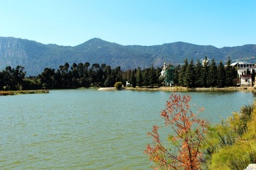 IMG_0382.JPG