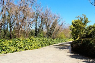 IMG_0491.JPG